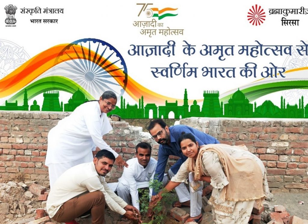 Tree Plantation
